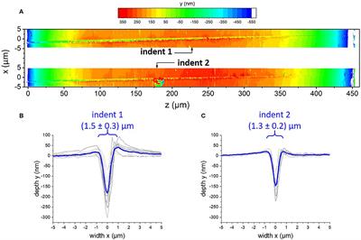 Indentation-Induced Structural Changes in Vitreous Silica Probed by in-situ Small-Angle X-Ray Scattering